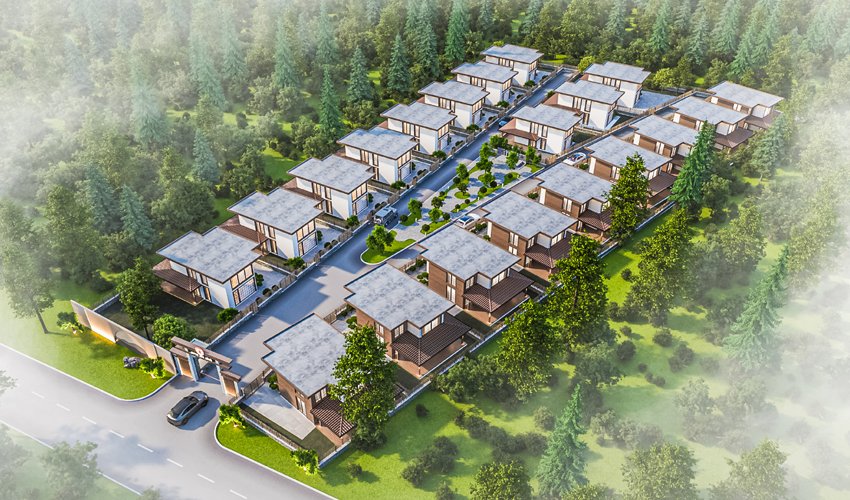 Patron Kulisi Burak Ustaoğlu